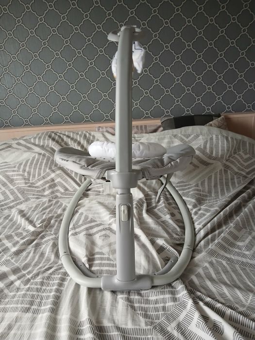 Sprzedam bujaczek Lionelo Pascal