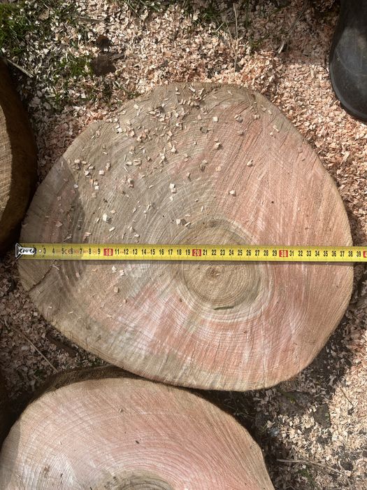 Sprzedam plastry drewna