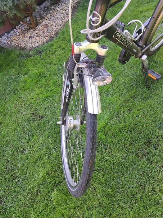 Rower męski Giant Custom