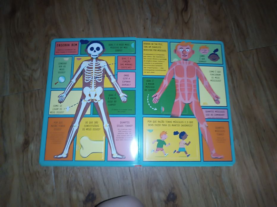 Livro o corpo humano