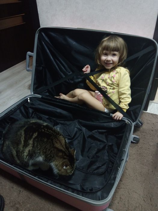 Чемодан дорожный огромный Ventura