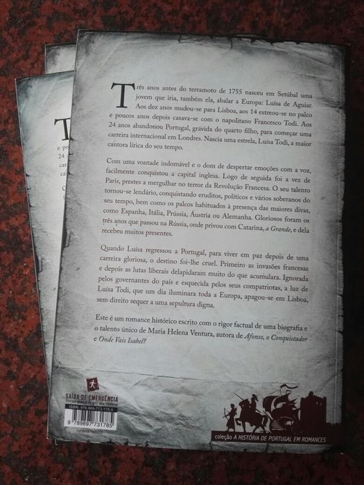 Minha Irmã Luísa Todi - de Maria Helena Ventura - NOVO