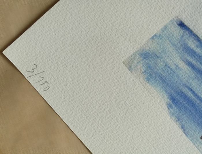 Serigrafia em estado novo - Joana Vilaverde (2000)