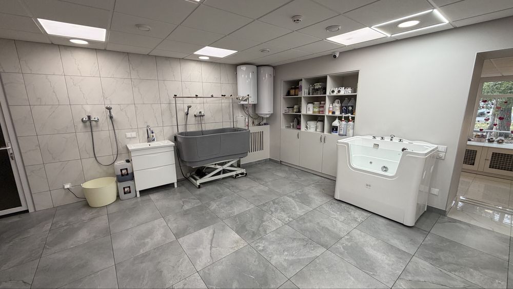 Продаю готовый бизнес груминг