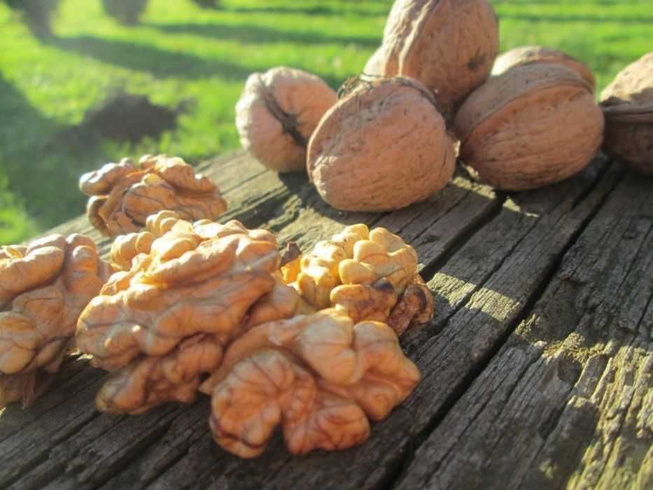 Orzechy włoskie łuskane i laskowe