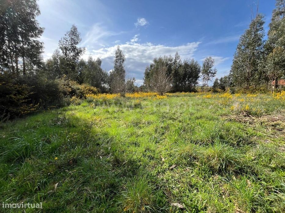 Terreno / Seia, Tourais e Lajes — Tourais E Lajes, Guarda