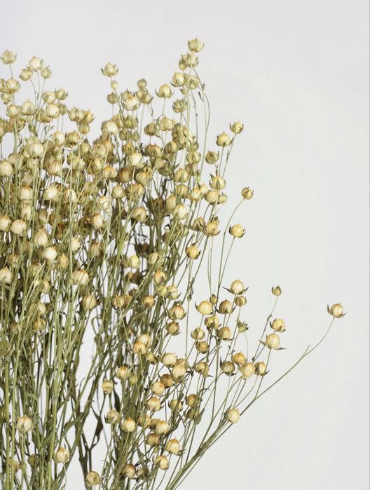 Льон натуральний