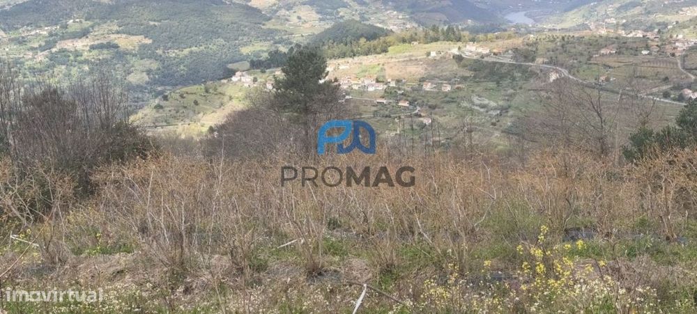 Terreno Urbanizável de 7959 m² com Armazém