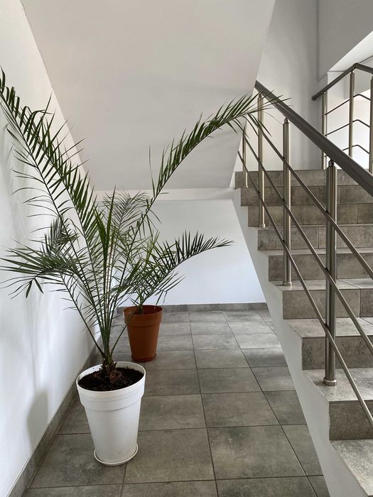 Commercial real estate at st. Kulikovo pole pl Oktyabrskoy revolyutsii pl (area 1300 m²) - Atlanta.ua - photo 18