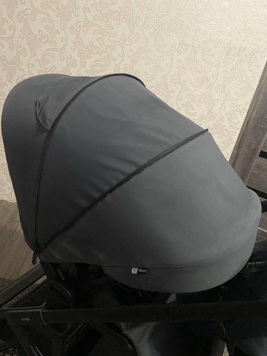 Прогулянкова коляска Carello Alfa