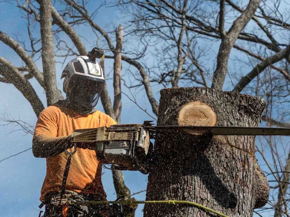 Спил деревьев, Расчистка участков, Вывоз веток, Аренда дробилки
