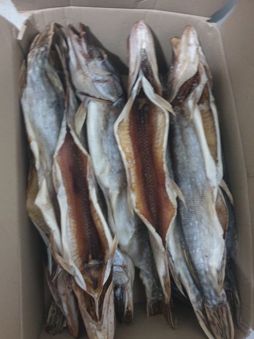 Риба малосольна Тарань з ікрою Лящь плотва сушена