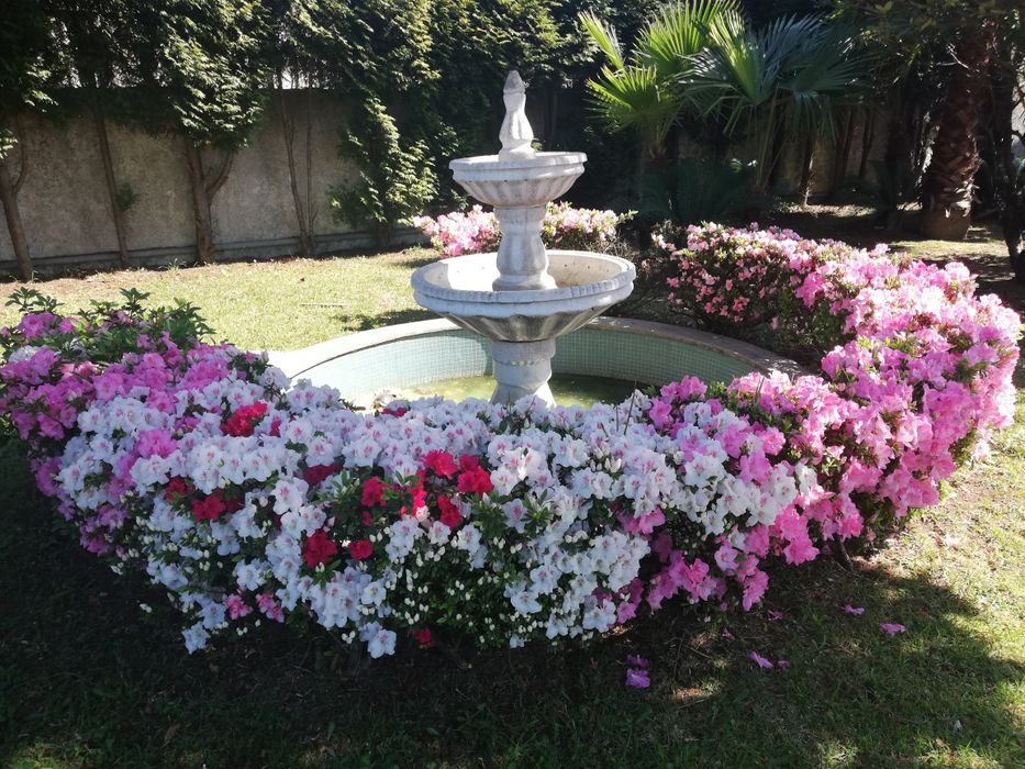 Legenda de ternura lar de idosos