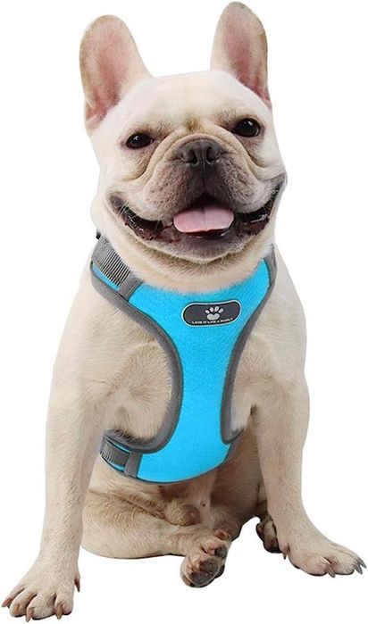 Regulowane szelki ze smyczą odblaskowe niebieski l