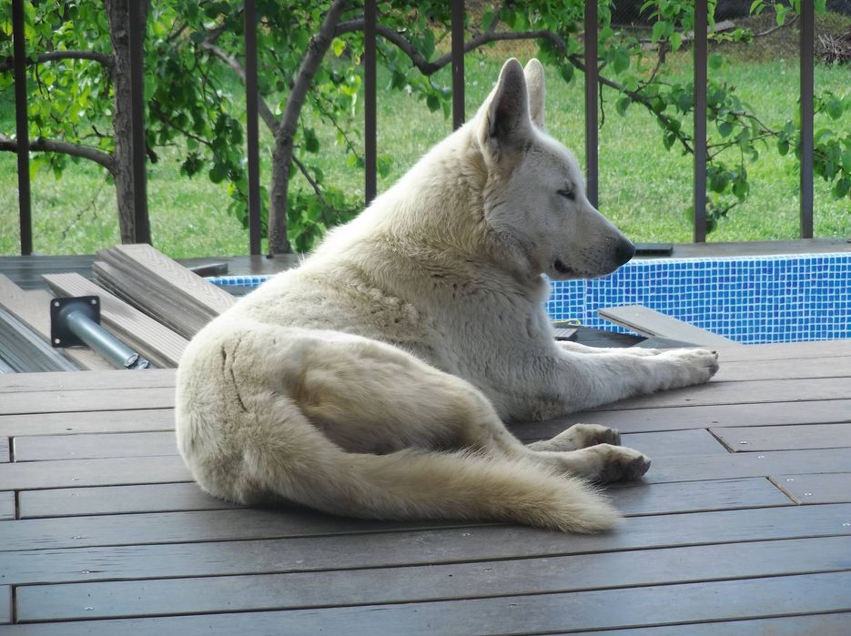 Кабель БШО для вязки