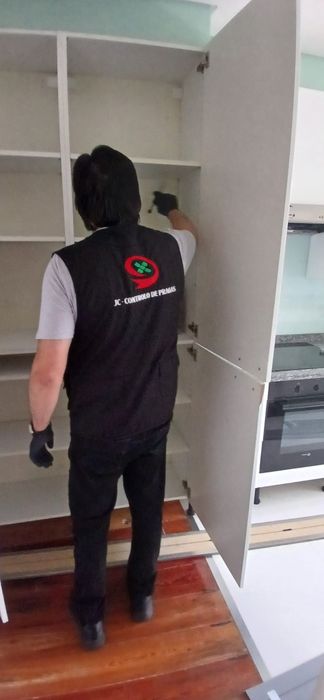 Desinfestação de baratas