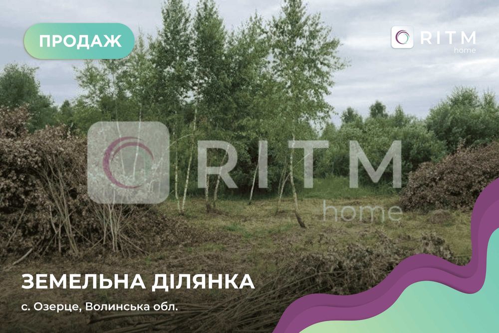 Продаж земельної ділянки в с. Озерце — 12 соток