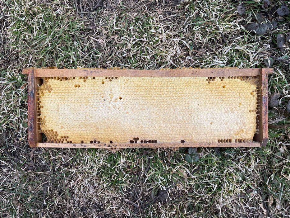 Медові рамки різнотрав’я/соняшник з часткою весняняного меду