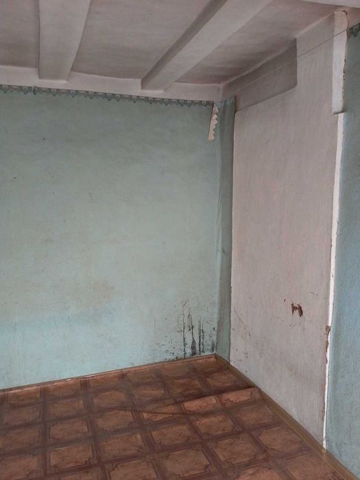 Продаю дом в Троицком