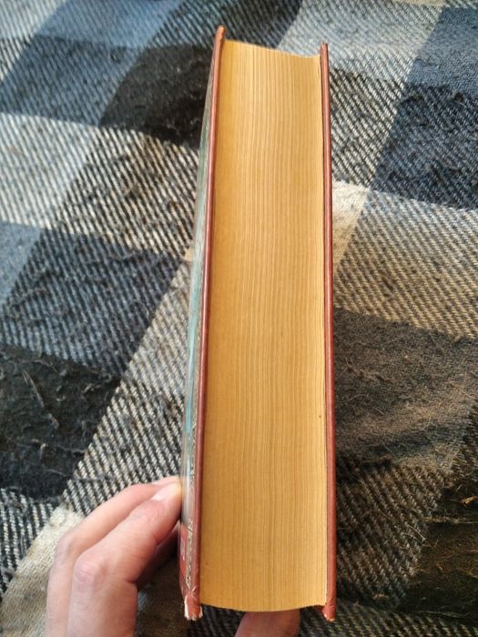 Роберт Джордан "Великая охота"