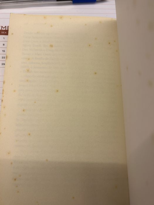 Dividida de Zainab Salbi