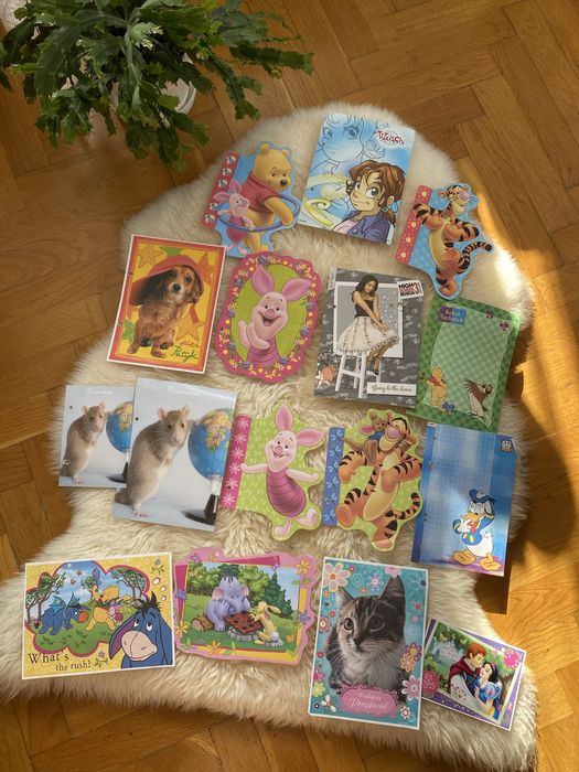 Karteczki kolekcjonerskie do segregatora