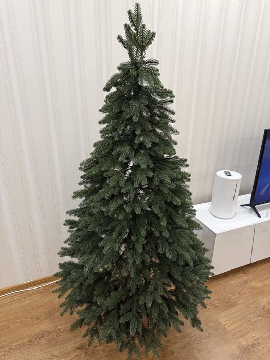 Лита ялинка! Терміново!