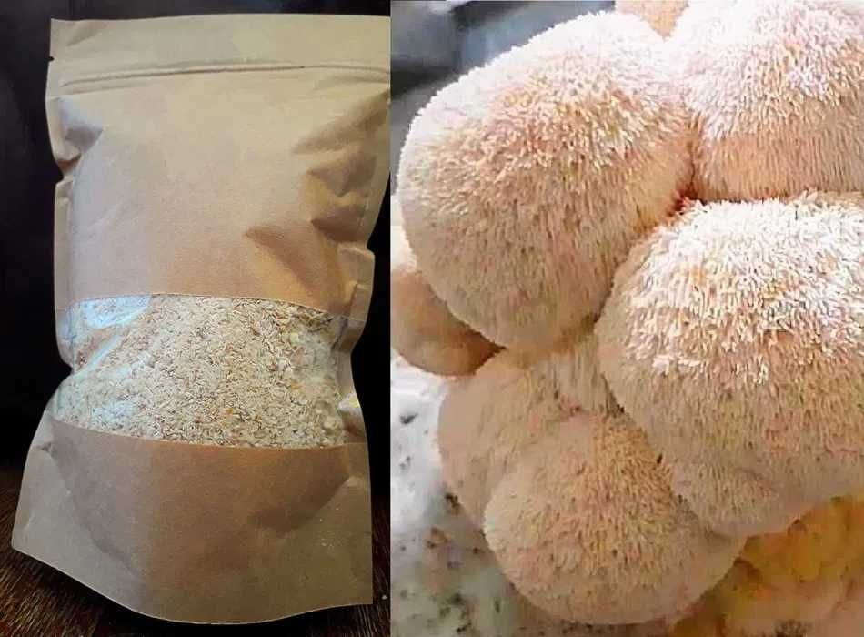 Ежовик гребенчатий. Геріций ( власне виробництво) 100грам -400грн