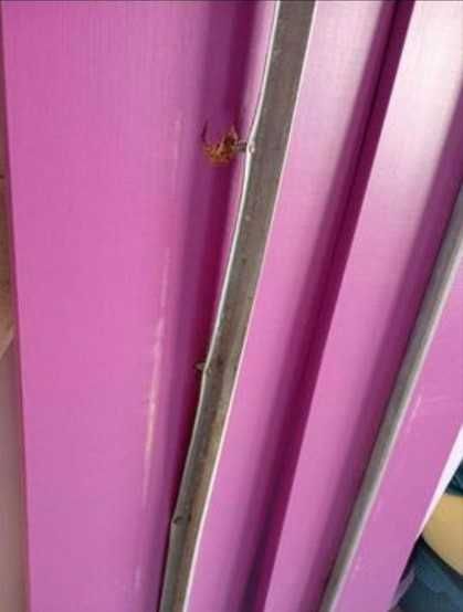 Móveis: Cama + Mesa de cabeceira+ Secretária+ Comoda + colchão