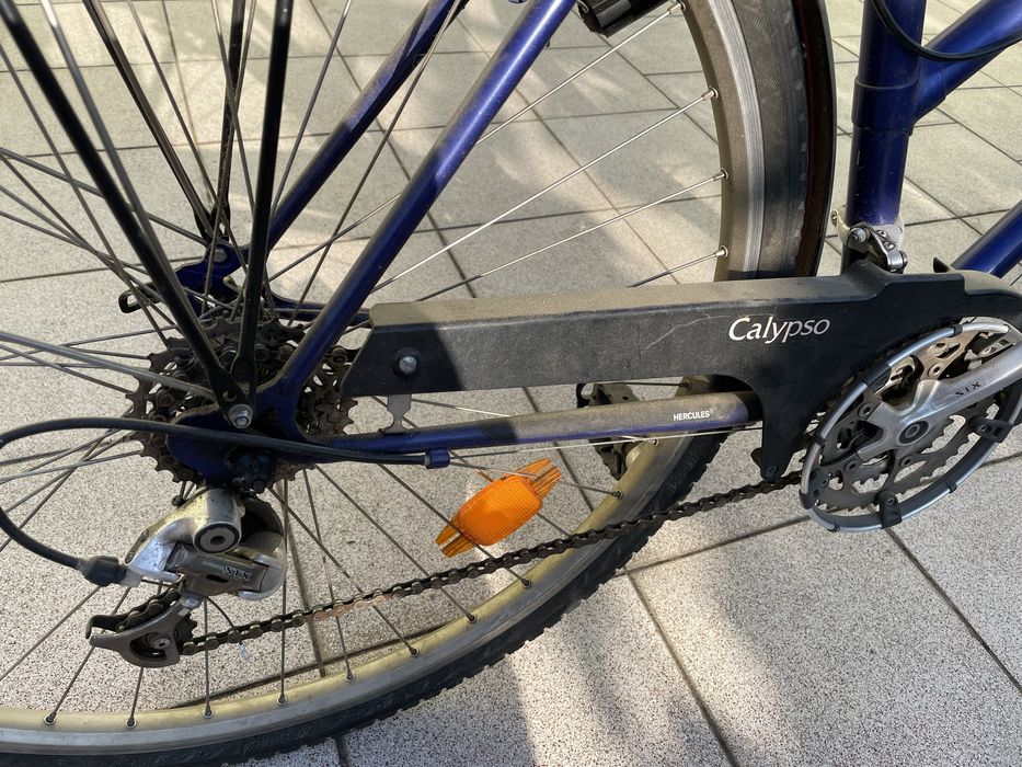 Rower Calypso Hercules
