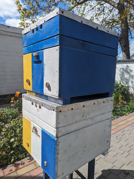 Продам Нуклеуси 3*3