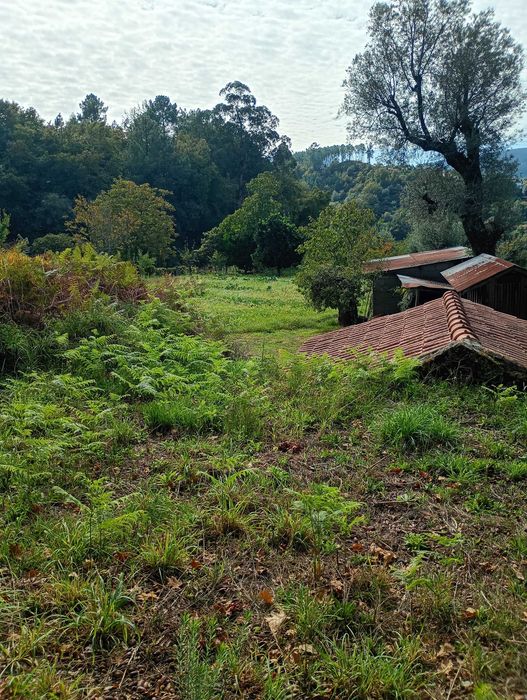 Terreno com 3000m2
