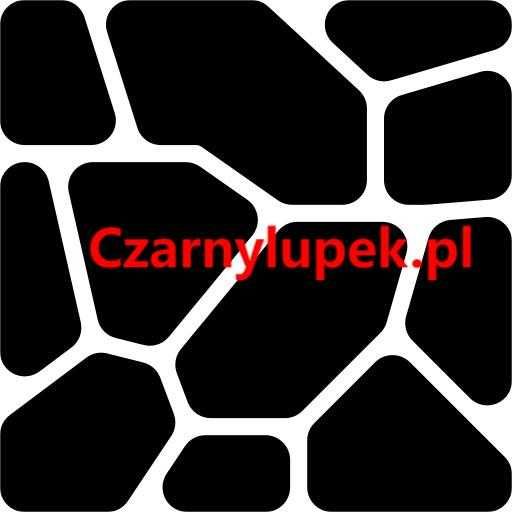 Czarny łupek kamień naturalny duże nieregularne płyty kamienne
