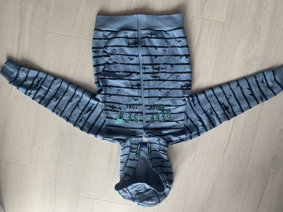Chłopięca bluza lupilu