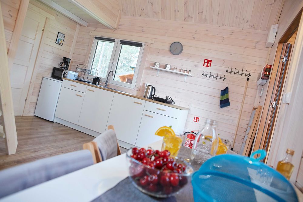 Oferta last minute- basen z podgrzewaną wodą, psy mile widziane, Leśne Runo Borsk