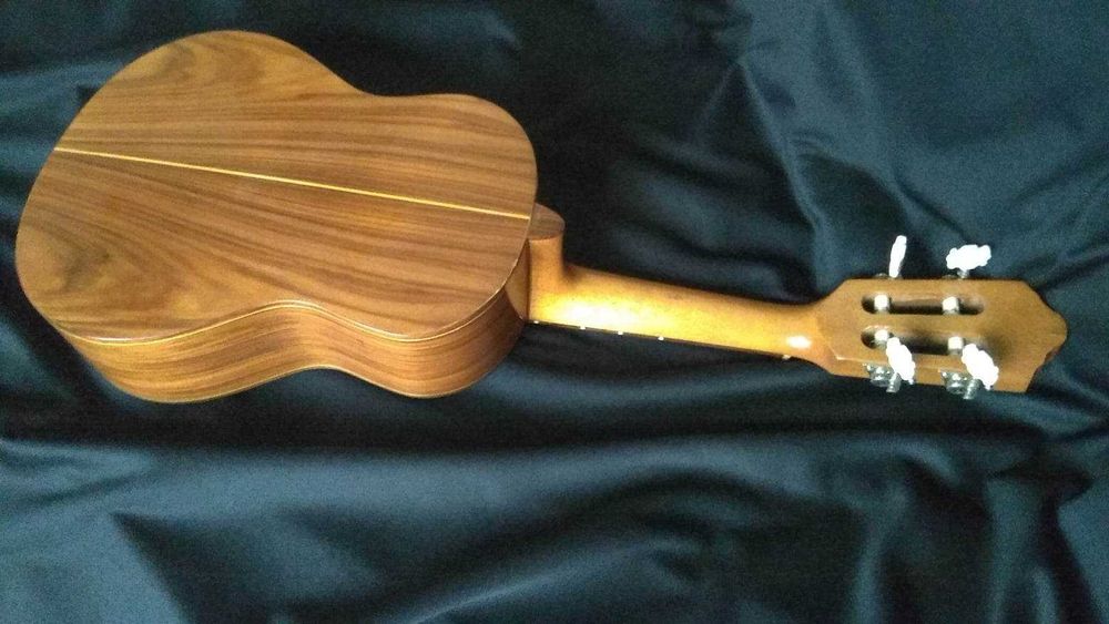 De coleção: cavaquinho GIANNINI 1992 / Violão GIANNINI 1995