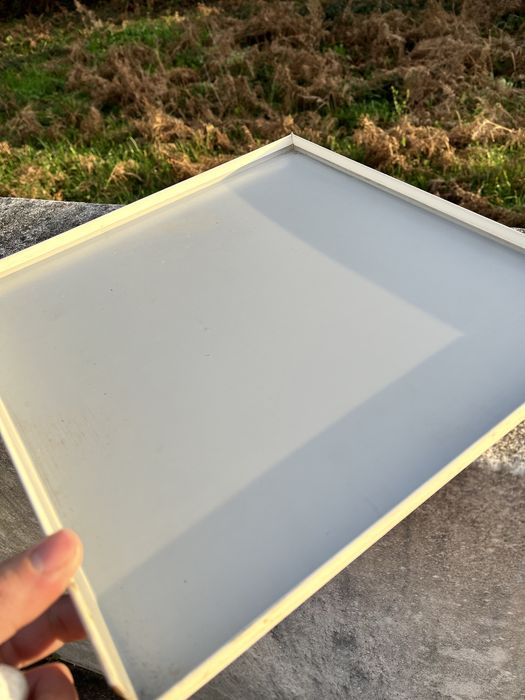 Tabuleiros de viveiros de pássaros.