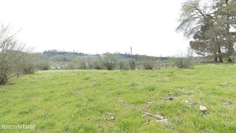 Terreno para Construção - Silgueiros