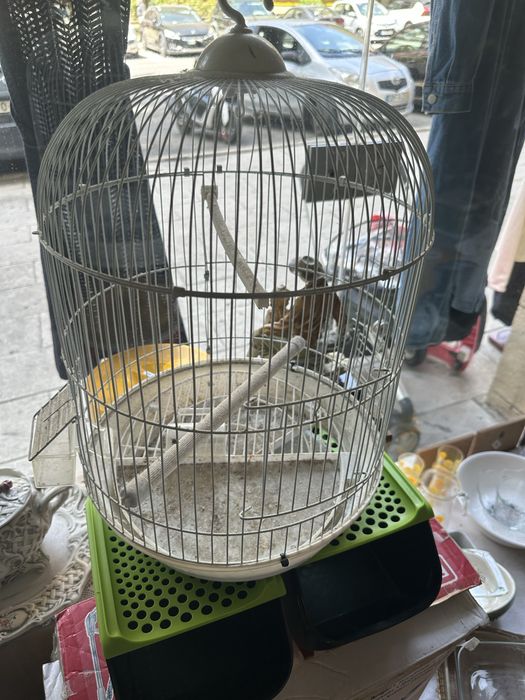 Gaiola para passaros