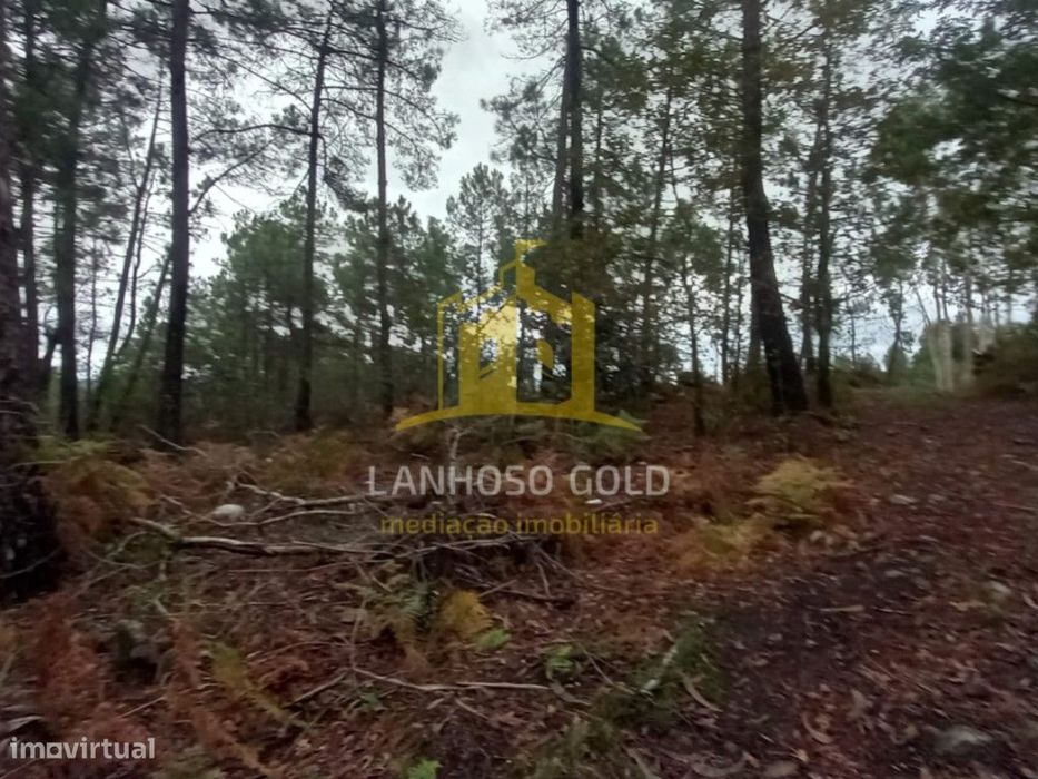 Terreno Florestal em Cunha, Paredes de Coura - 3.150 m²