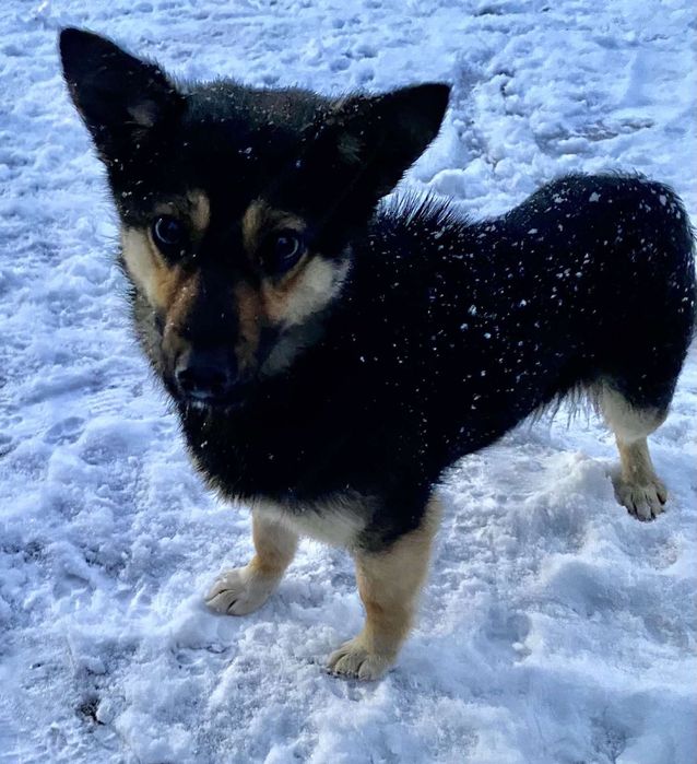 Шукаємо родину для молодого хлопчика