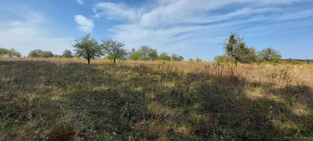 12 сот під садівництво Великі Дмитровичі