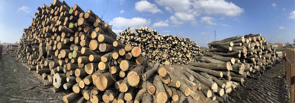 Grab buk dąb akacja sosna /drewno kominkowe opałowe