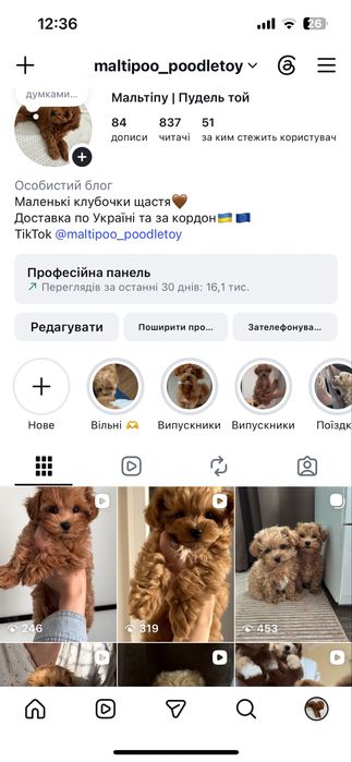 Мальтіпу 4 місяці за акційною ціною.