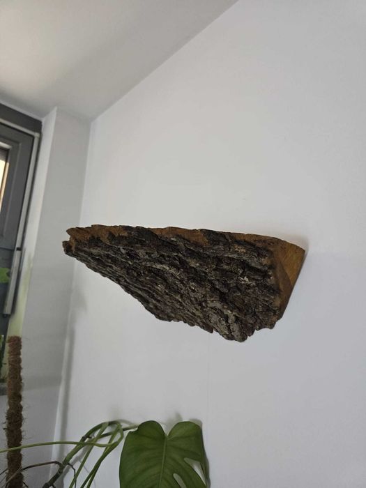 Półka ścienna surowe drewno