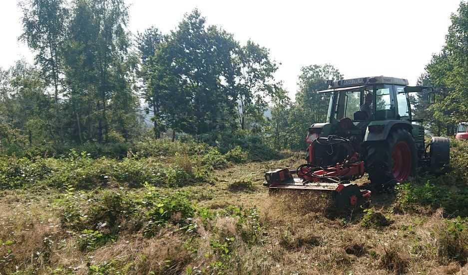 Wycinka karczowanie drzew, obcinanie gałęzi, wykaszanie, rębak zrębka.