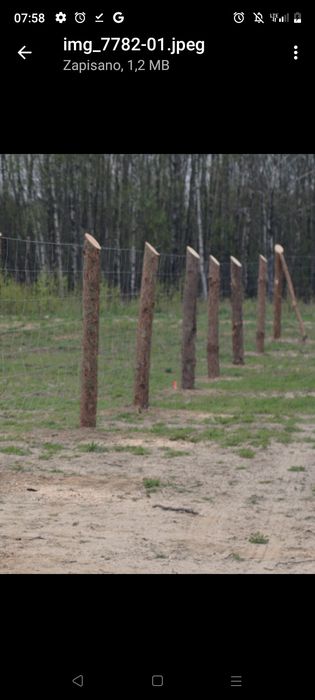 Ogrodzenia z siatki leśnej budowlane tymczasowe cena tylko 16 zł MB