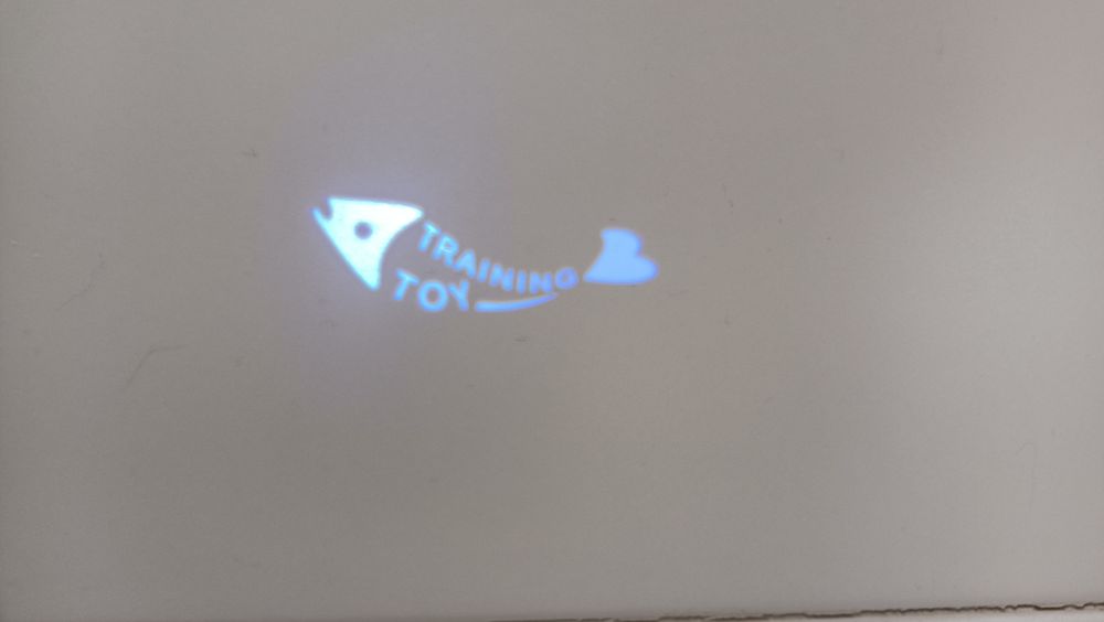 Brinquedos/trelas gato