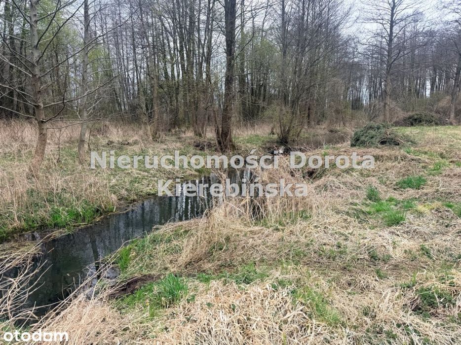 Działka z dosępem do rzeki- Rzeczyca - Widok 2