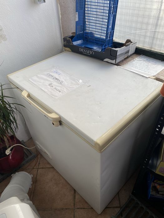 Arca congeladora princess